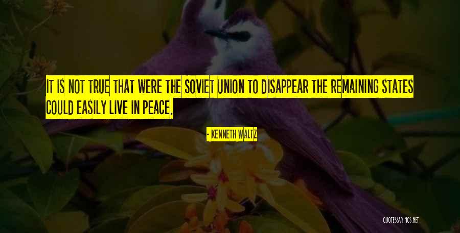 Payfirma Quotes By Kenneth Waltz Payfirma Quotes By Kenneth Waltz