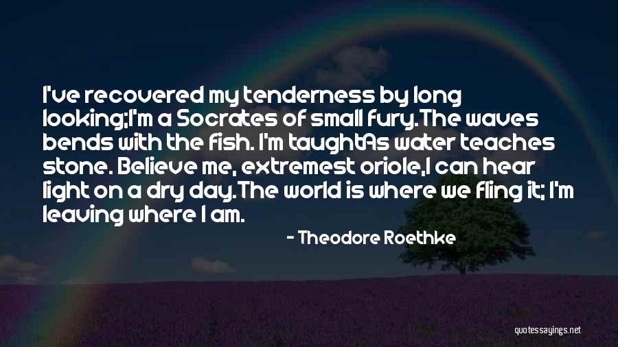 Paying For Others Mistakes Quotes By Theodore Roethke Paying For Others Mistakes Quotes By Theodore Roethke