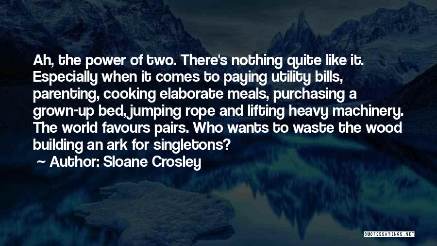 Paying My Bills Quotes By Sloane Crosley