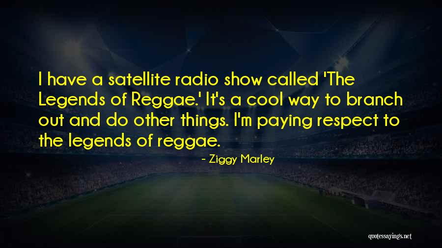 Paying Respect Quotes By Ziggy Marley Paying Respect Quotes By Ziggy Marley