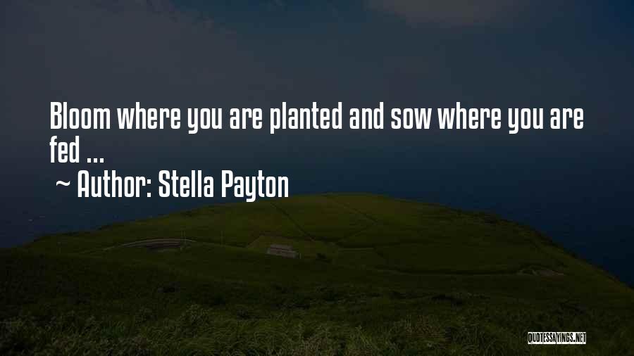 Payton Quotes By Stella Payton