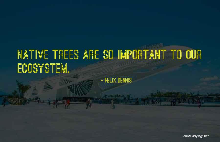Pazzaglia Law Quotes By Felix Dennis Pazzaglia Law Quotes By Felix Dennis