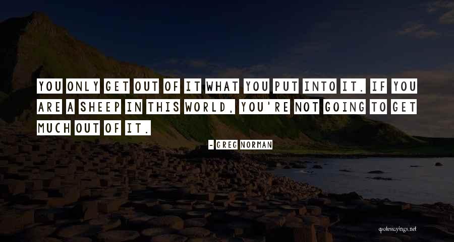 Pazzaglia Law Quotes By Greg Norman Pazzaglia Law Quotes By Greg Norman