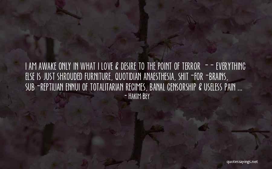 Pazzesco Quotes By Hakim Bey