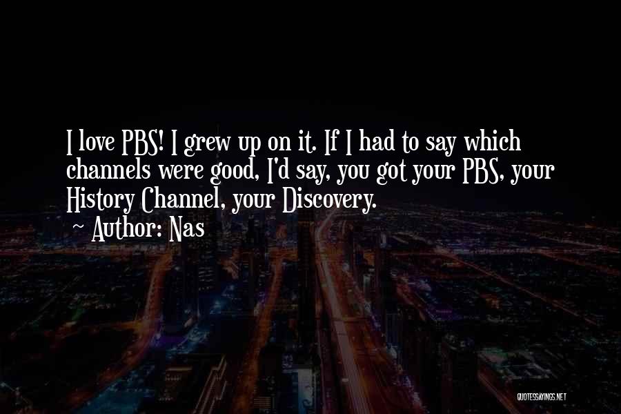 Pbs Quotes By Nas