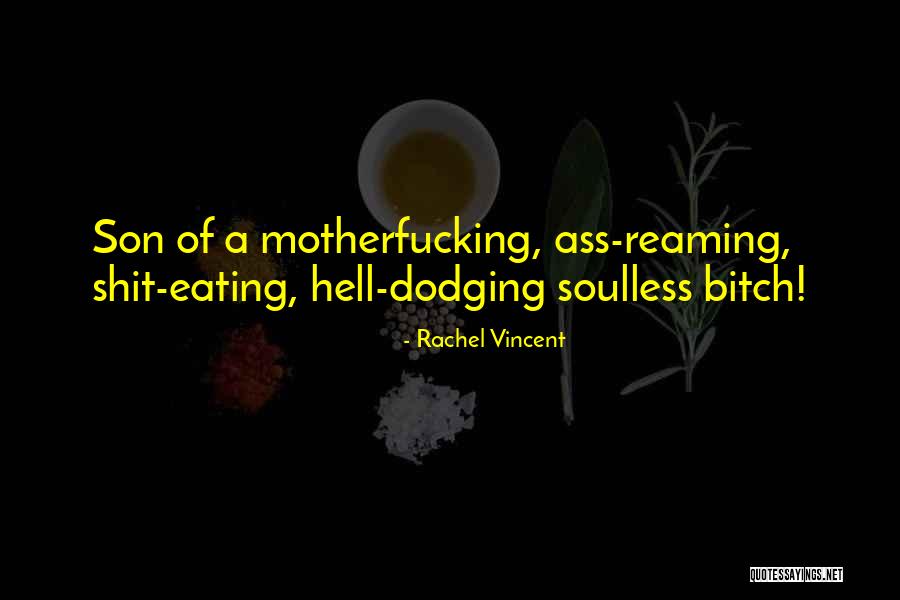 Pchem Quotes By Rachel Vincent Pchem Quotes By Rachel Vincent
