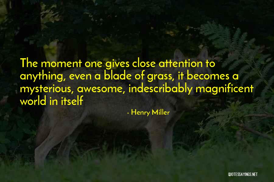 Pdz Coop Quotes By Henry Miller Pdz Coop Quotes By Henry Miller