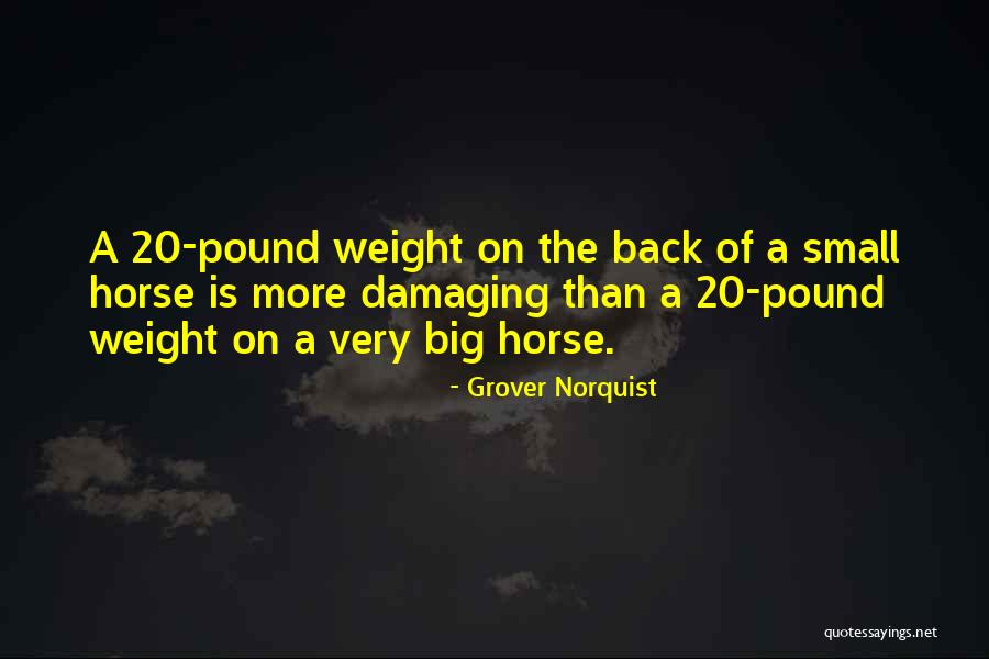 Pe Custom Quotes By Grover Norquist Pe Custom Quotes By Grover Norquist