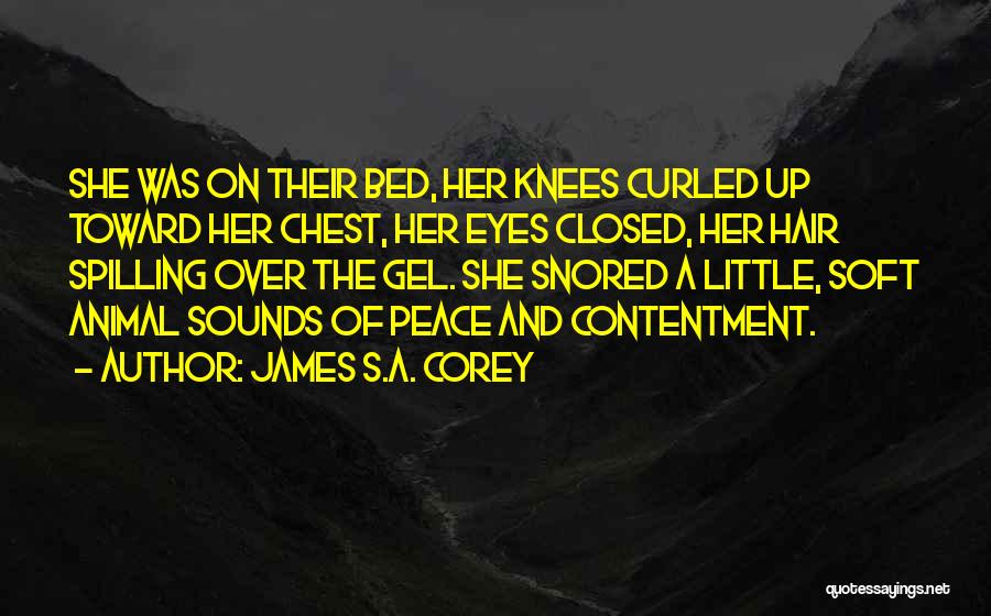 Peace And Contentment Quotes By James S.A. Corey