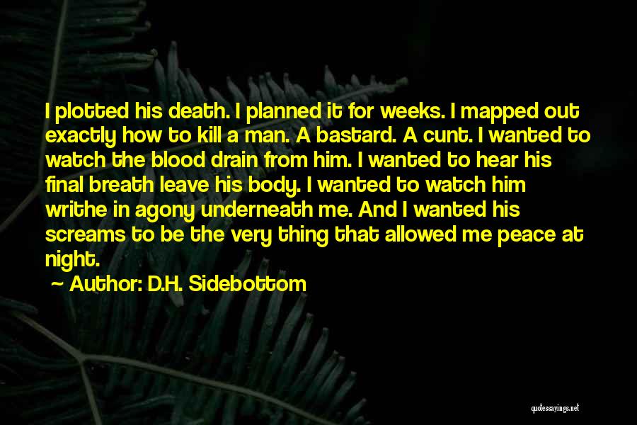 Peace And Death Quotes By D.H. Sidebottom