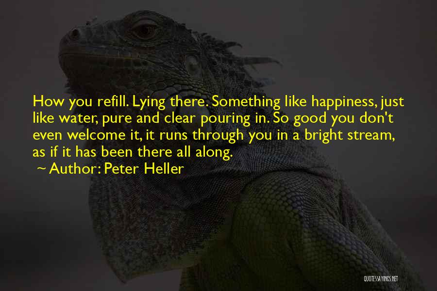 Peace And Happiness Quotes By Peter Heller