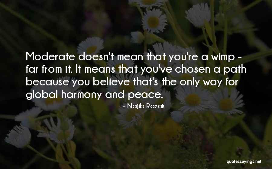 Peace And Harmony Quotes By Najib Razak