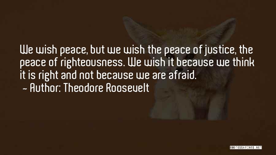 Peace And Justice Quotes By Theodore Roosevelt