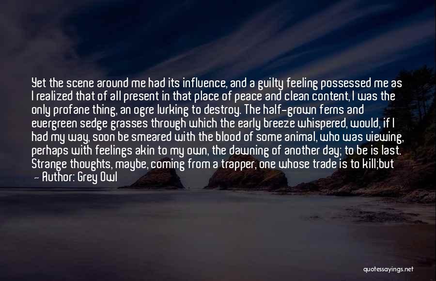Peace And Nature Quotes By Grey Owl Peace And Nature Quotes By Grey Owl