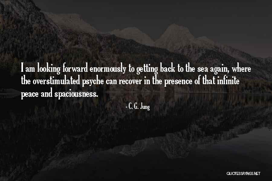 Peace And The Sea Quotes By C. G. Jung