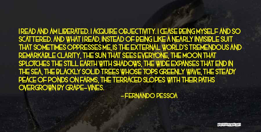 Peace And The Sea Quotes By Fernando Pessoa