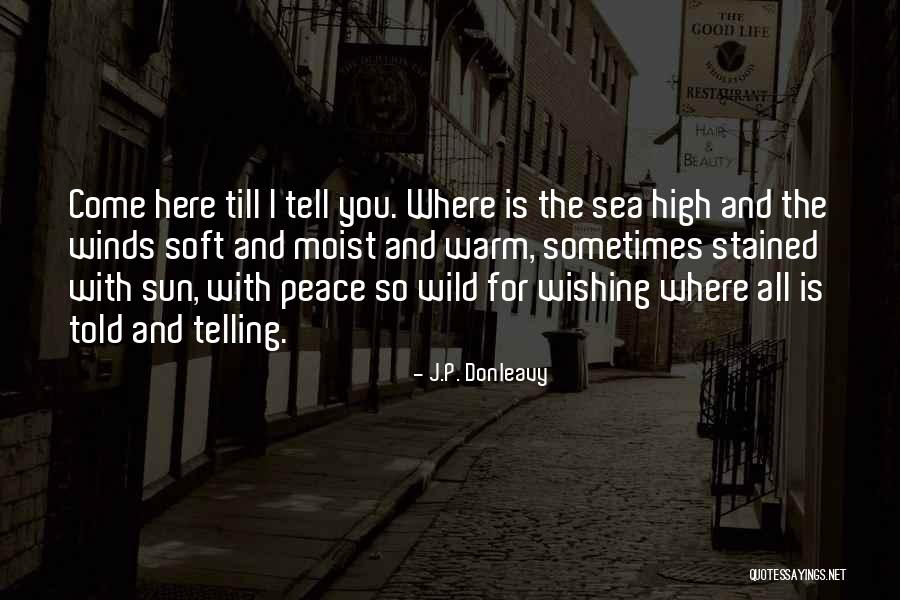 Peace And The Sea Quotes By J.P. Donleavy