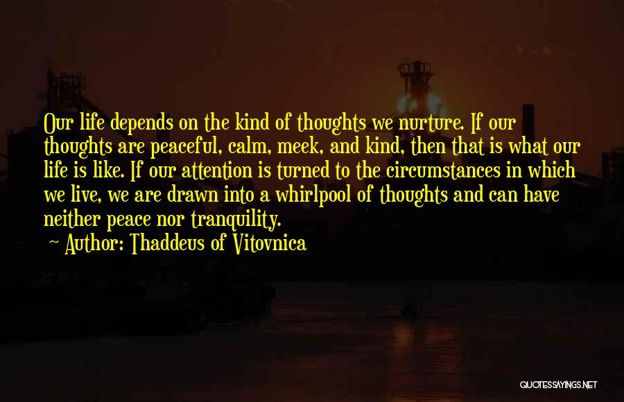 Peace And Tranquility Quotes By Thaddeus Of Vitovnica