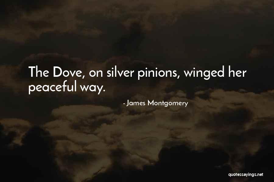 Peace Dove Quotes By James Montgomery Peace Dove Quotes By James Montgomery