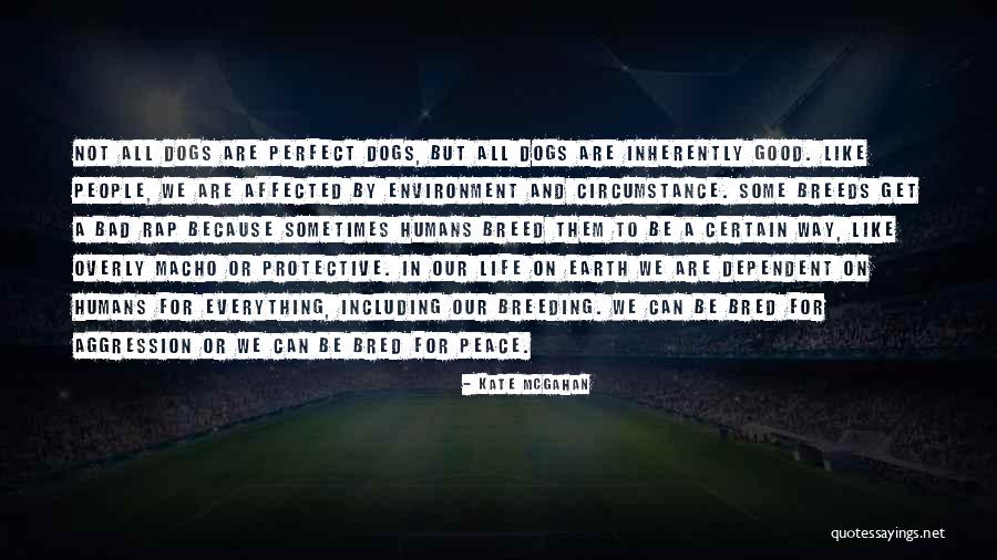 Peace For All Quotes By Kate McGahan Peace For All Quotes By Kate McGahan