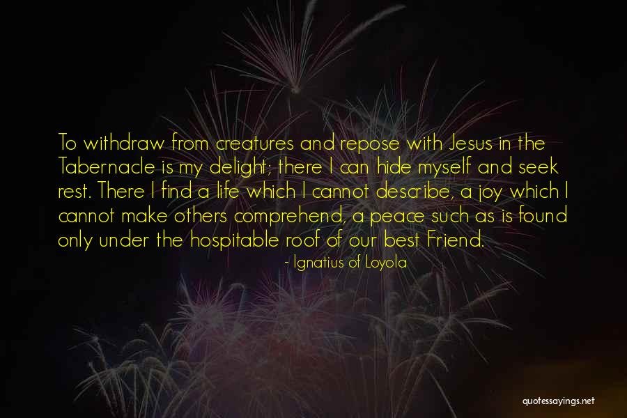 Peace In My Life Quotes By Ignatius Of Loyola