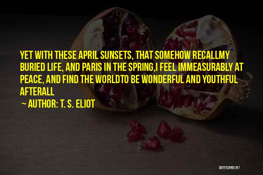 Peace In My Life Quotes By T. S. Eliot