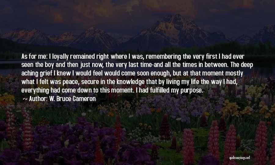 Peace In My Life Quotes By W. Bruce Cameron