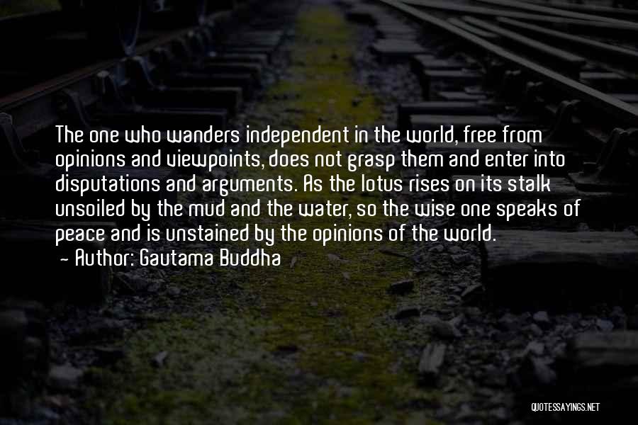 Peace In Water Quotes By Gautama Buddha