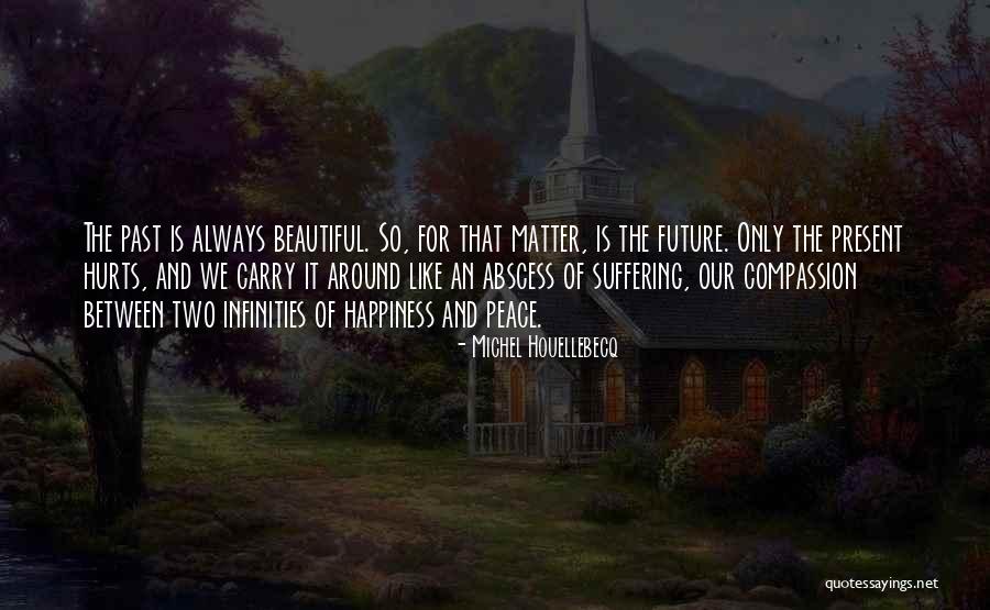 Peace Is Always Beautiful Quotes By Michel Houellebecq Peace Is Always Beautiful Quotes By Michel Houellebecq