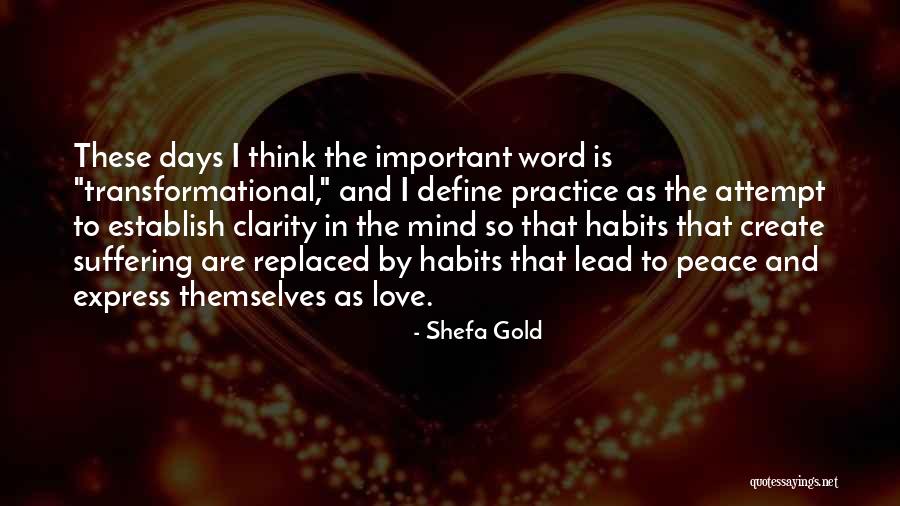 Peace Is Important Quotes By Shefa Gold Peace Is Important Quotes By Shefa Gold