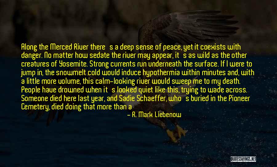 Peace Like A River Quotes By R. Mark Liebenow