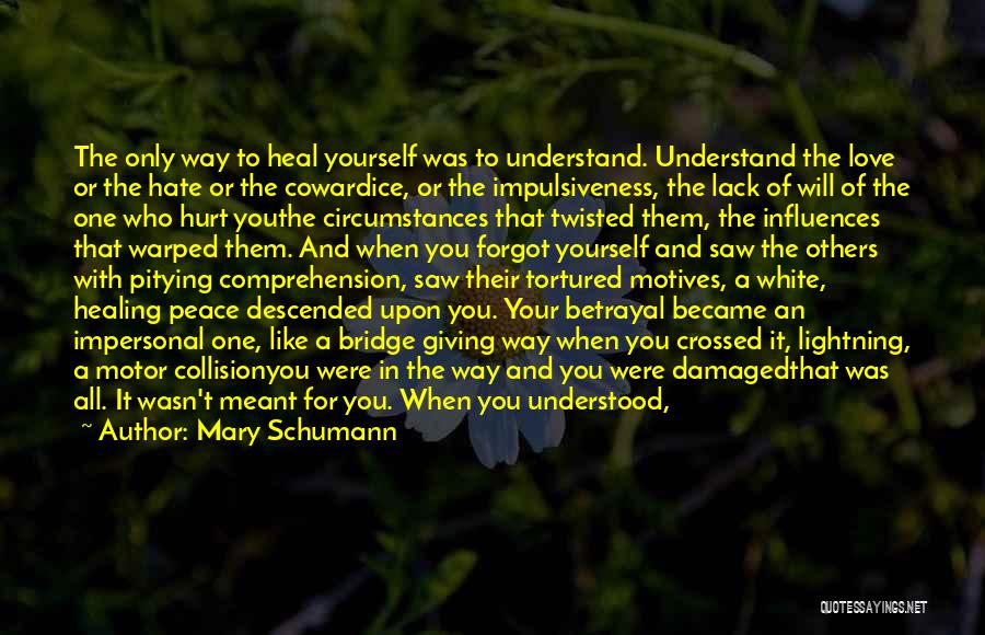 Peace Love And Understanding Quotes By Mary Schumann