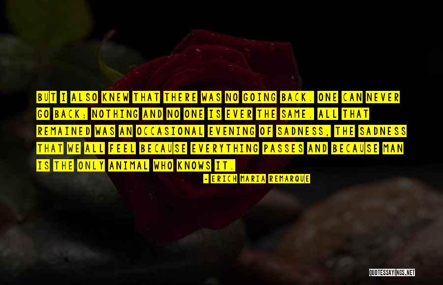 Peace Love U0026 Rock And Roll Quotes By Erich Maria Remarque Peace Love U0026 Rock And Roll Quotes By Erich Maria Remarque