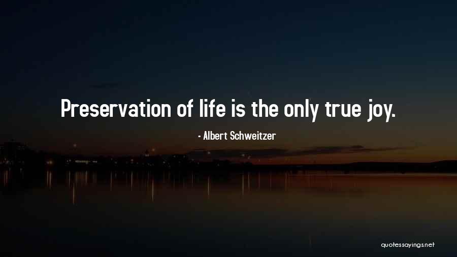 Peace Maker Quotes By Albert Schweitzer