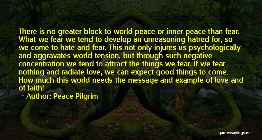 Peace Not Hate Quotes By Peace Pilgrim