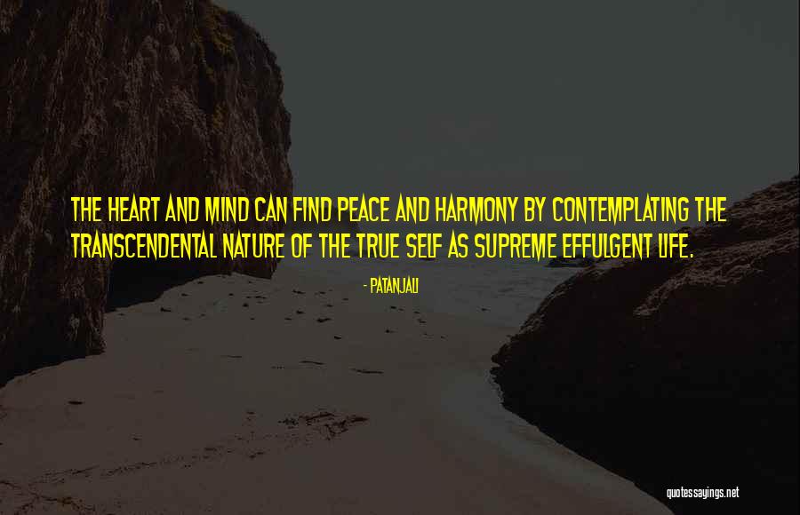 Peace Of Heart And Mind Quotes By Patanjali Peace Of Heart And Mind Quotes By Patanjali