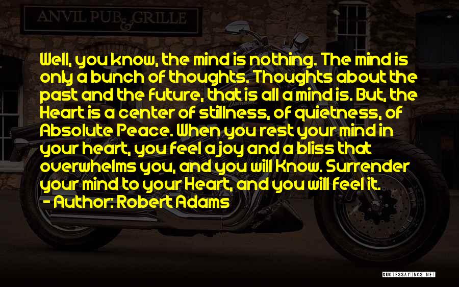 Peace Of Mind And Heart Quotes By Robert Adams