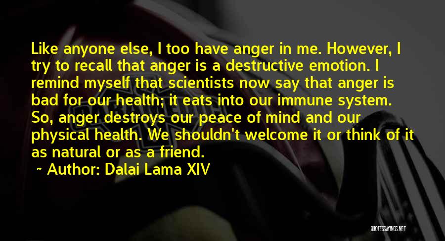 Peace Of Mind Quotes By Dalai Lama XIV