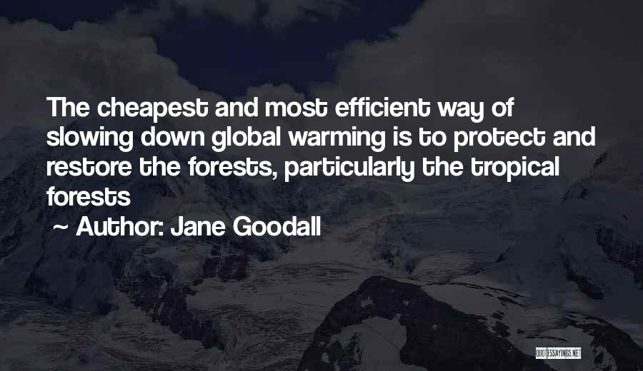 Peace Oppressor Quotes By Jane Goodall