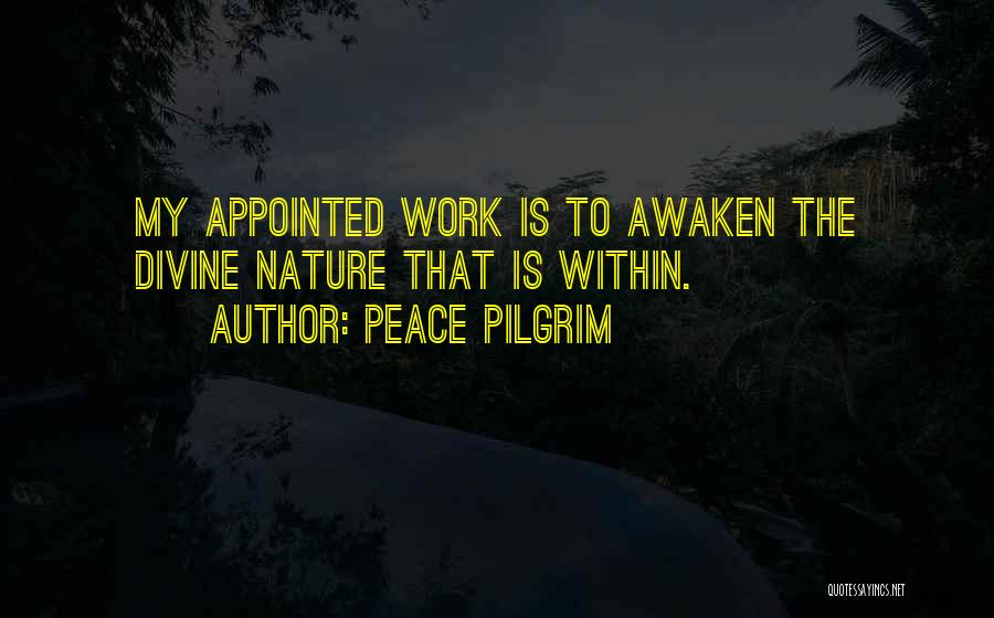Peace Pilgrim Quotes 2152087