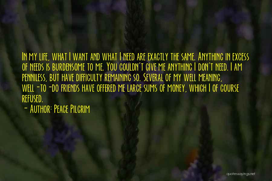 Peace Pilgrim Quotes 278395
