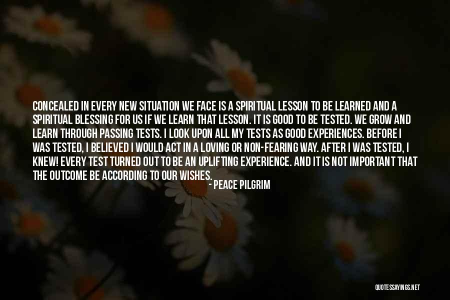 Peace Pilgrim Quotes 325804