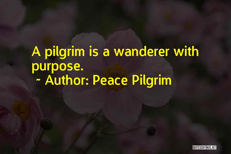 Peace Pilgrim Quotes 492083