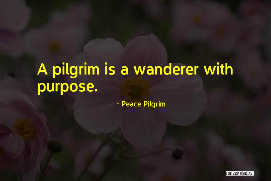 Peace Pilgrim Quotes 492083