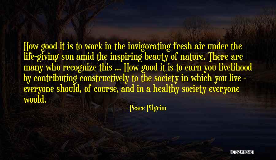 Peace Pilgrim Quotes 547035