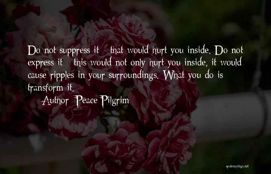 Peace Pilgrim Quotes 697766