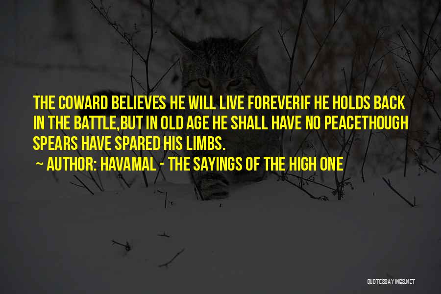 Peace Sayings Quotes By Havamal - The Sayings Of The High One