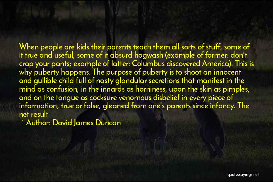 Peace Treaty Quotes By David James Duncan