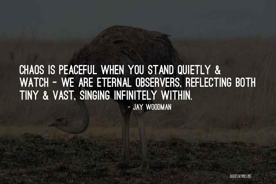 Peace Within Chaos Quotes By Jay Woodman Peace Within Chaos Quotes By Jay Woodman