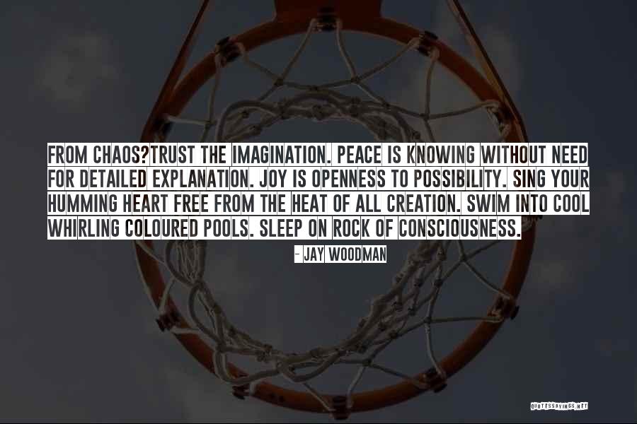 Peace Within Chaos Quotes By Jay Woodman Peace Within Chaos Quotes By Jay Woodman